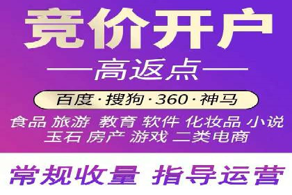 探索专业SEM托管的奥秘：从案例看效果